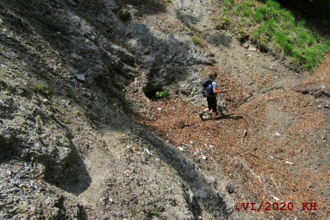 Querung in den Schoberwald