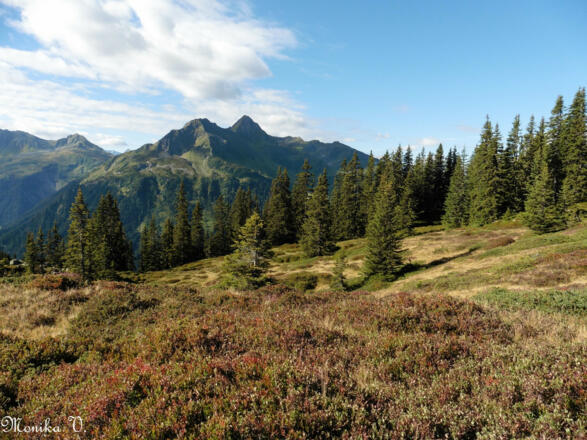 Auf dem Weg zum Muttjöchle