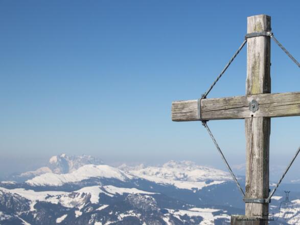 Wilder Kaiser im Hintergrund