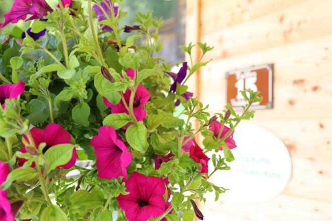 Voldertalhütte, Aussen2