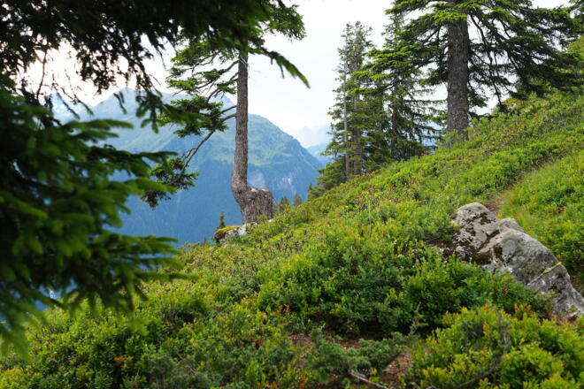 Aufstieg von Garfrescha zum Gantakopf