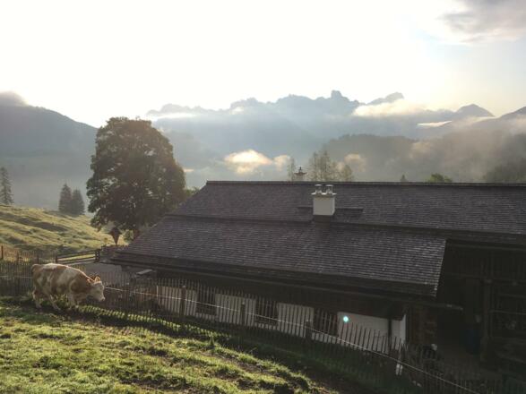 Spießalm in da Fruah