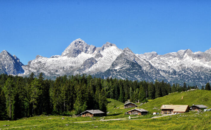Die Kallbrunnalm, im Hintergrund die Leoganger Steinberge