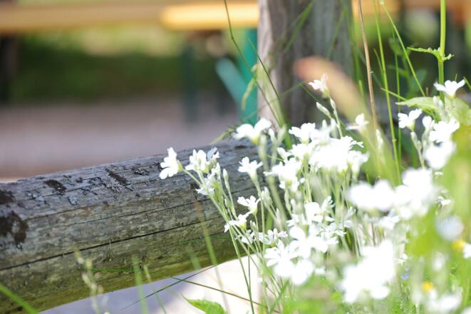 Voldertalhütte, Aussen4