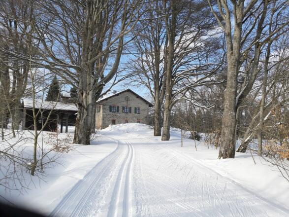 Loipe kurz vor Ödwies