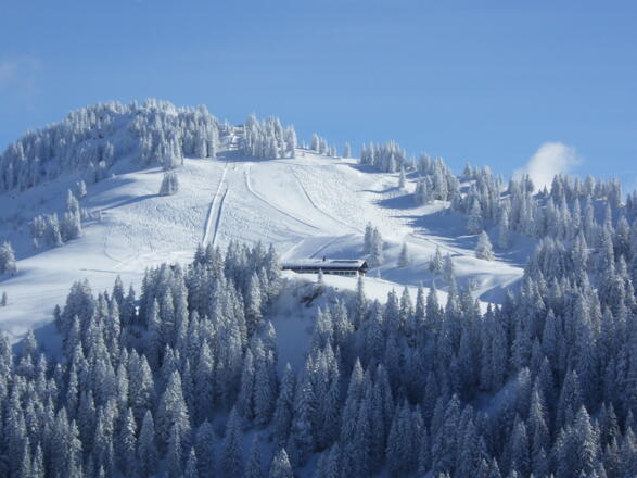 Falkenhütte mit Rohner