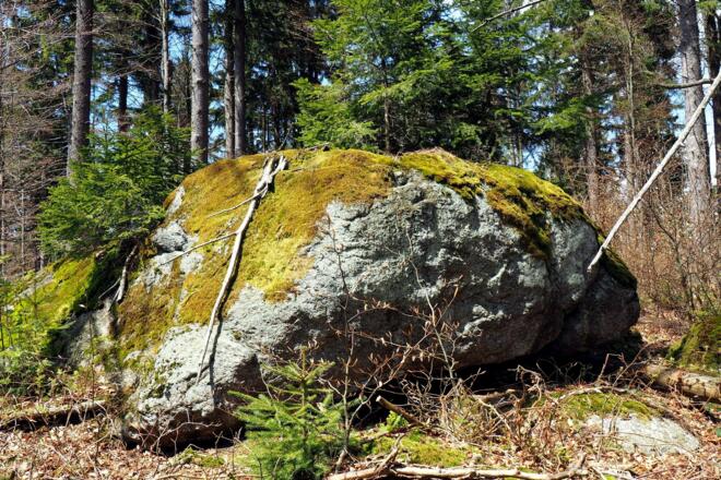 Fleischhackerberg 1040m, Felsformationen