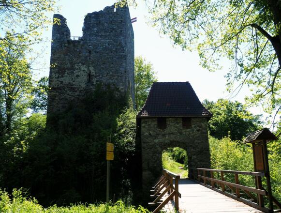 Ruine Haichenbach 471m