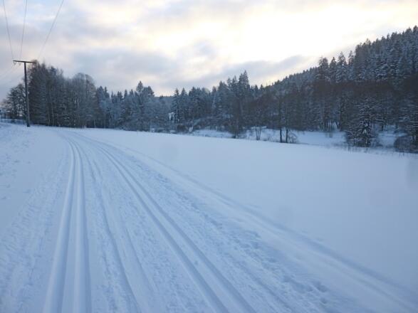 Rückweg entlang der Straße in Grün