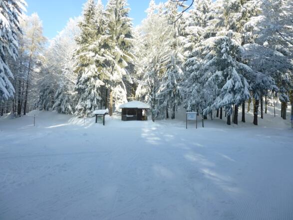 Loipenknoten Schuhfleck