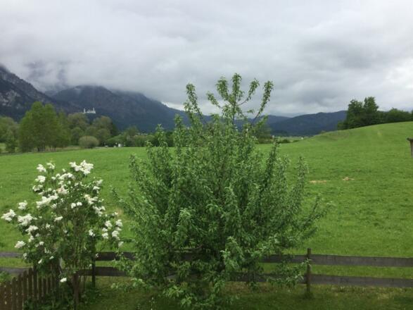 F06B8D86-E932-4E25-A285-9640FBD14E4C