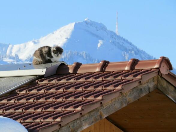 Genießen Sie die Sonne auch im Winter bei uns