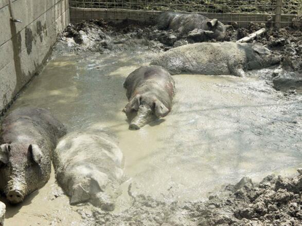 Denkn Gut - Familie Jaksch 7