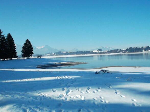 Winter am Forggensee
