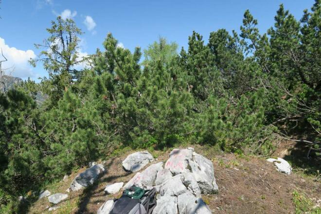 Gipfelfoto Elferkogel