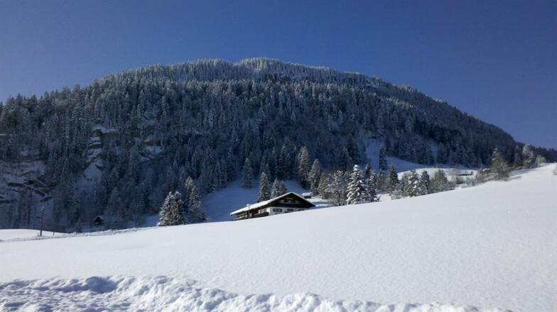 Landaus Köberle-Bietsch versteckt im Schnee