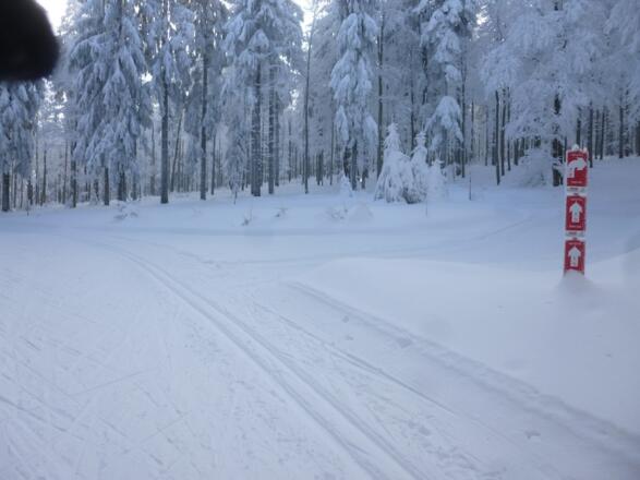 Abzweigung der Knogl-Loipe - zum Hirschenstein geradeaus