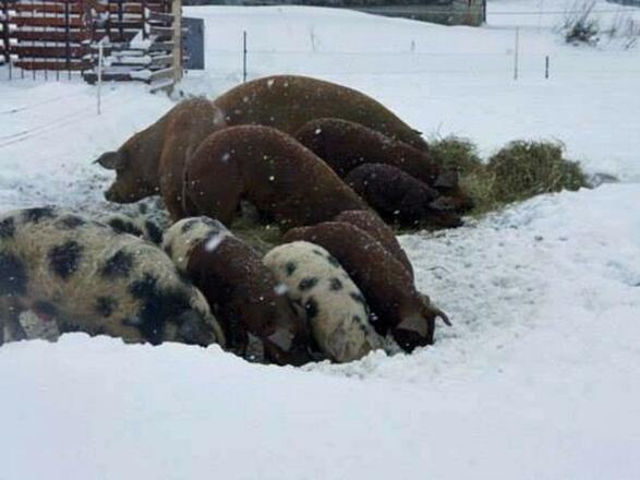 Denkn Gut - Familie Jaksch 6