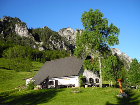 Puglalm am Hengstpaß, Nationalpark Kalkalpen