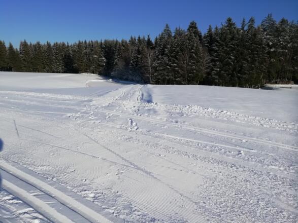 Pirauloipe Nr. 15 und Nordwaldkammweg II bei Zulissen