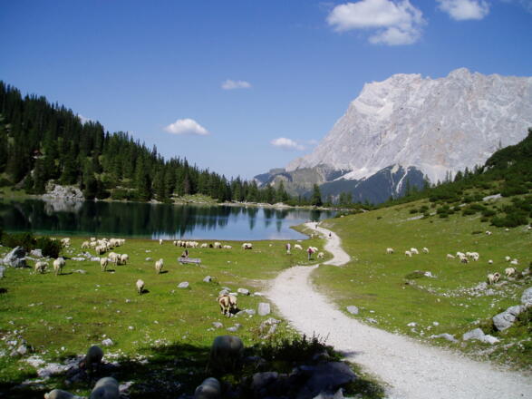 Der Seebensee mit Blick nach Norden