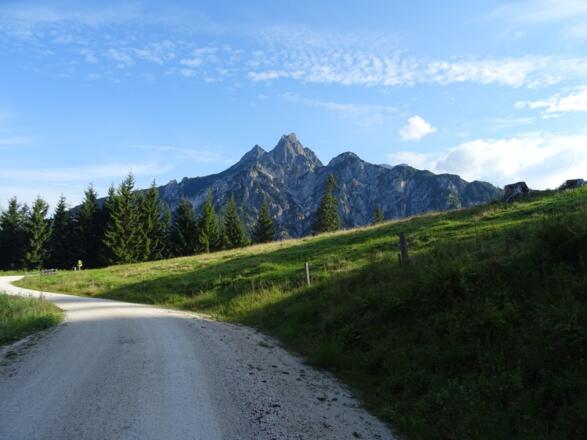 MTB Tour auf die Litzlalm / Gerhardstein