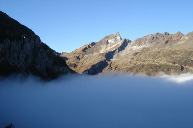 Schneck im Bärgündle-Tal