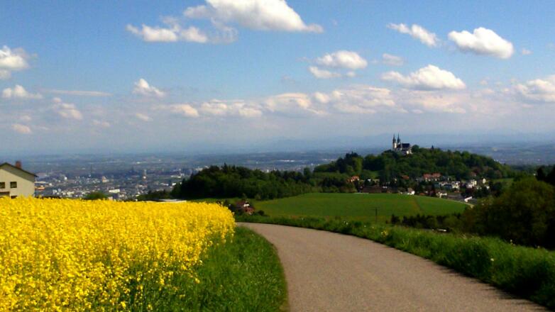 Pöstlingberg 539m von der Koglerau