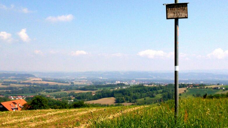 Roithener Kogel 449m