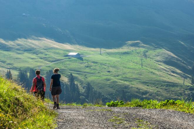 Blick auf das Alpgebiet der Breitenalpe