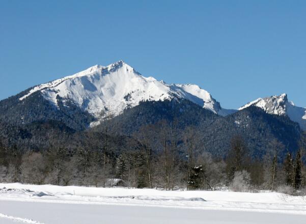 Skitour Scheinbergspitze - Scheinberg vom Graswangtal
