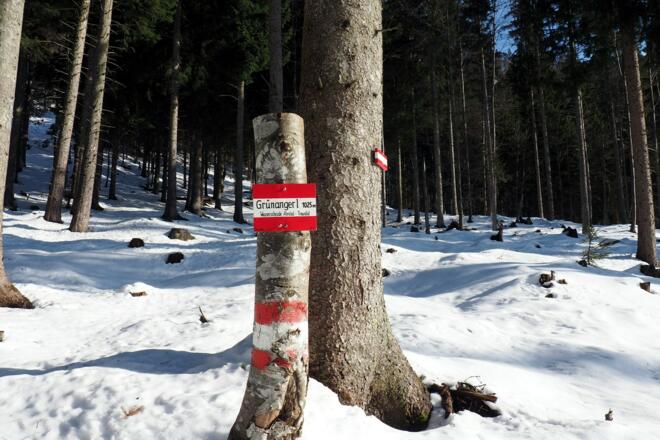 Sattel &quot;Grünangerl&quot; 1025m