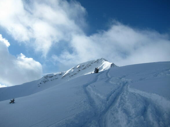Abfahrt von der Scheinbergspitze in frischem Pulverschnee