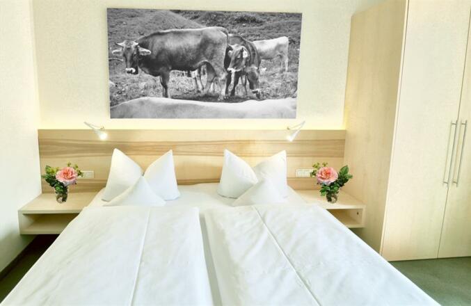 Doppelzimmer Südbalkon