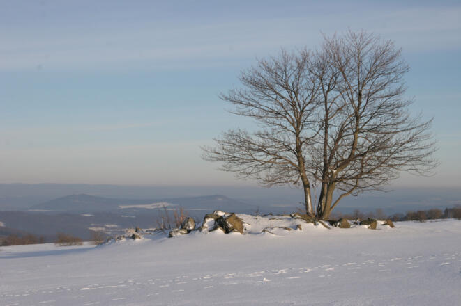 Auf dem Grabenberg im Dreiländereck