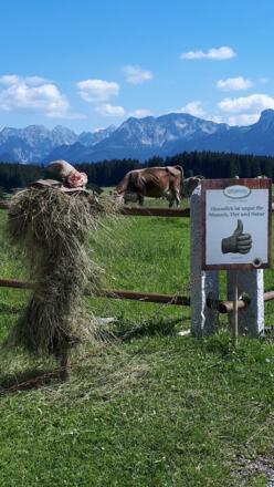 Heinzen - Heutrocknen