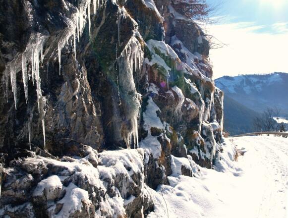 Zufahrtsstraße zur Hintersteineralm, 915m bis 1029m