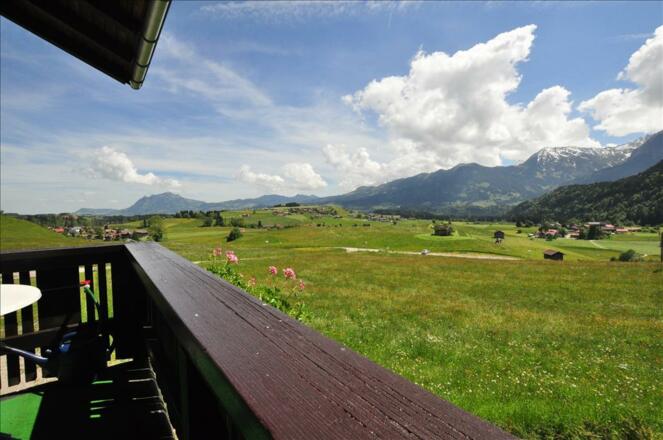 Balkonblick blühende Wiese mit Blick zum Grünten