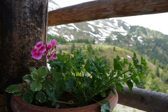 Tulfes Tulfeinalm Zirbenweg Glungezer