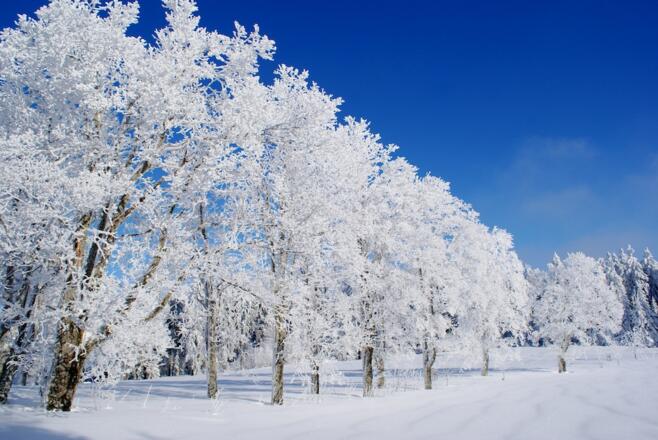 Ödwies - Start oder Mittelstück der Grandl-Ödwiesloipe