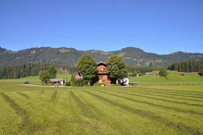 &quot;Heubarzit&quot; bei uns