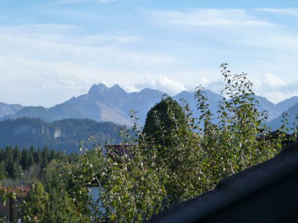 Aussicht in die Allgäuer Berge