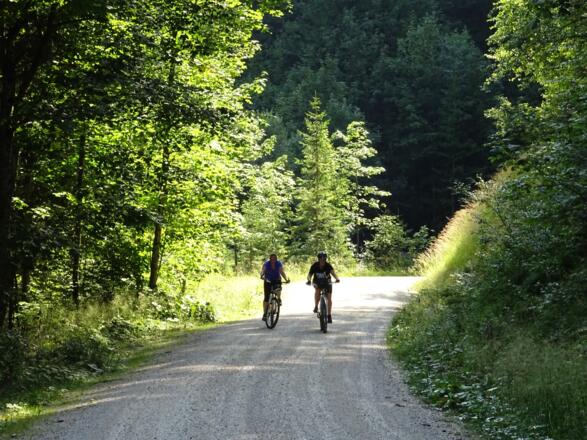 MTB Tour auf die Litzlalm / Gerhardstein