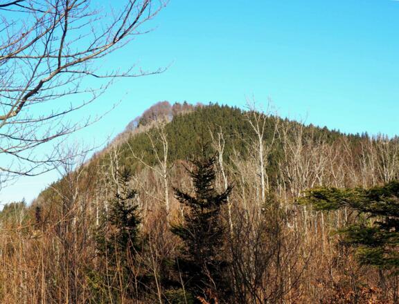 Falkenstein 993m von der Rotmauer