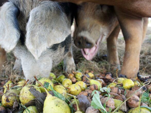 Denkn Gut - Familie Jaksch 3