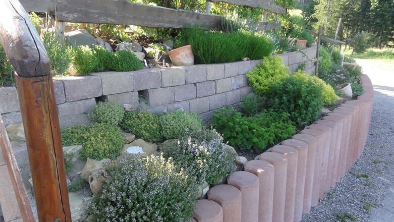 Blick in den Kräutergarten