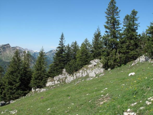Naturschutzgebiet Allgäuer Hochalpen