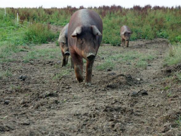 Denkn Gut - Familie Jaksch 5