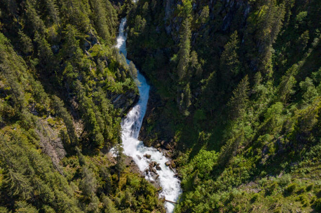 Litz Fuchsschwanz Wasserfall
