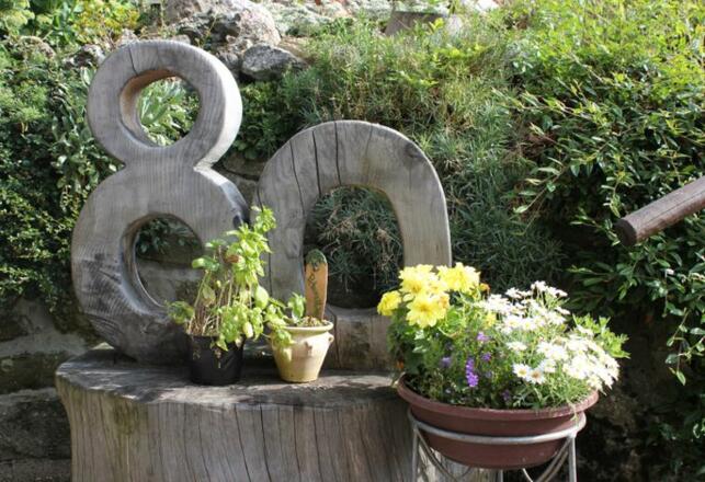Ferienwohnung Pusteblume